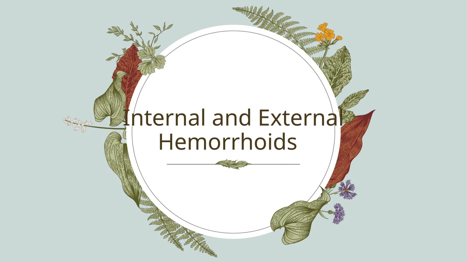 Internal and External Hemorrhoids