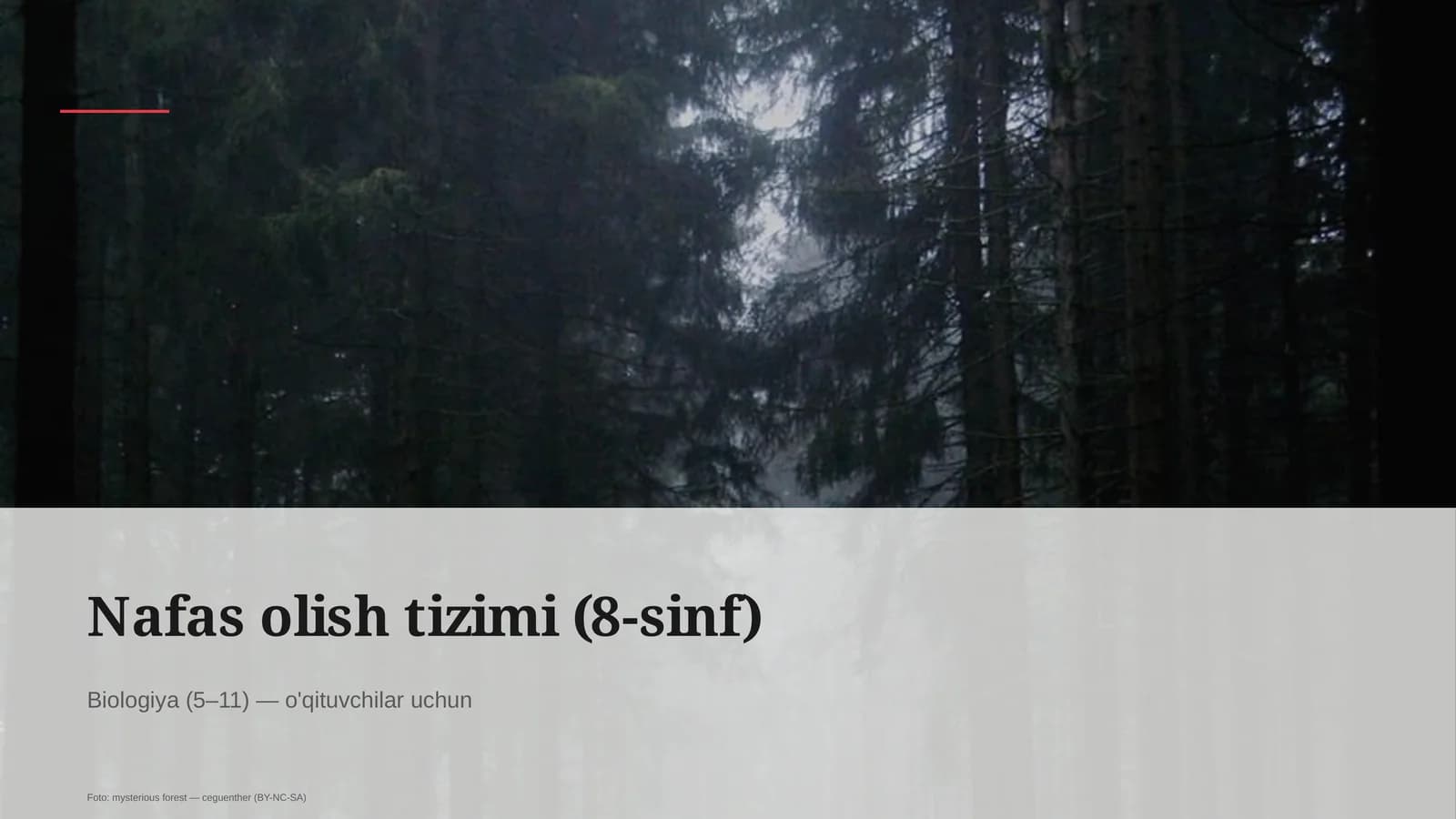 Nafas olish tizimi (8-sinf)
