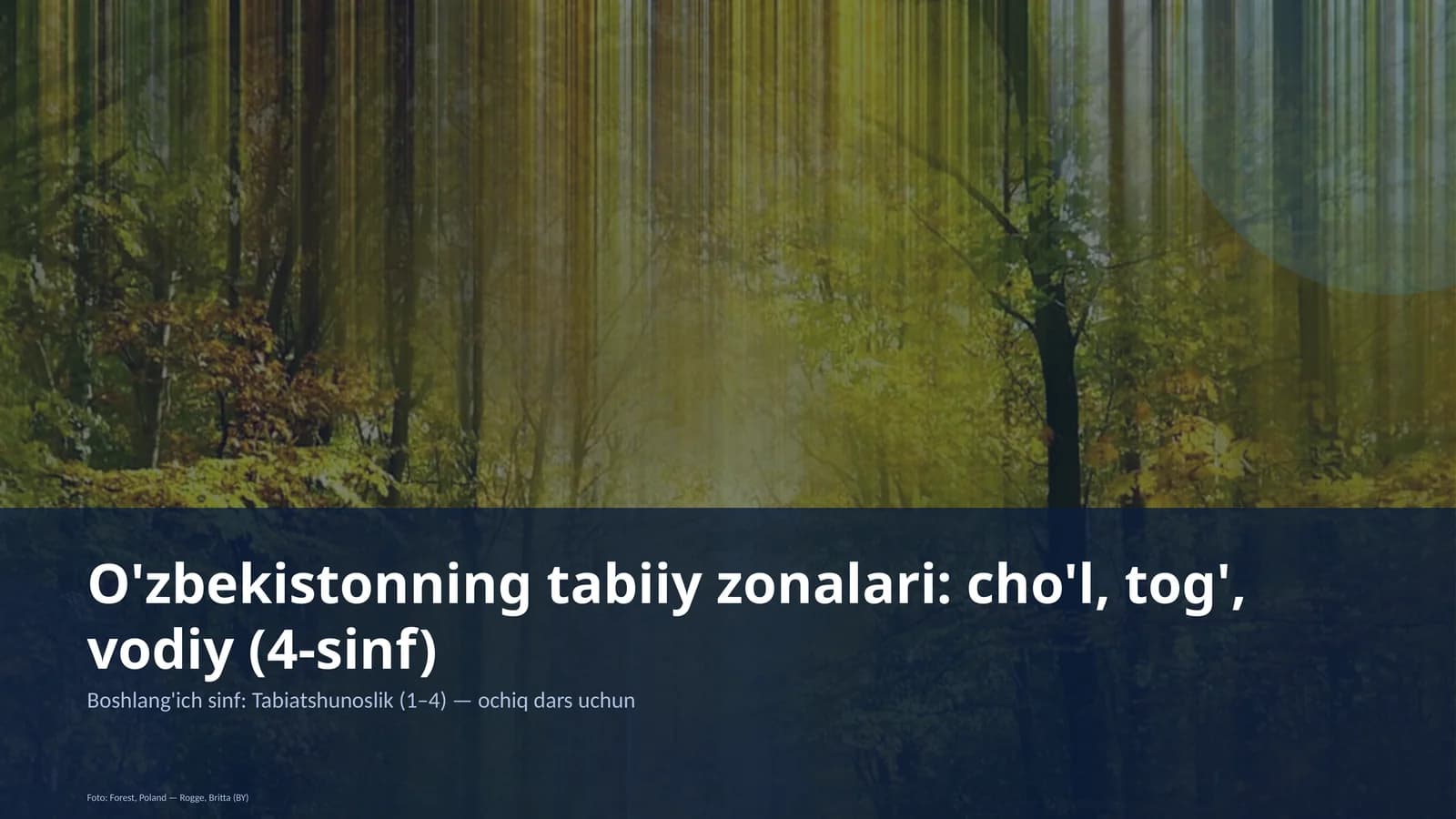 O'zbekistonning tabiiy zonalari: cho'l, tog', vodiy (4-sinf)