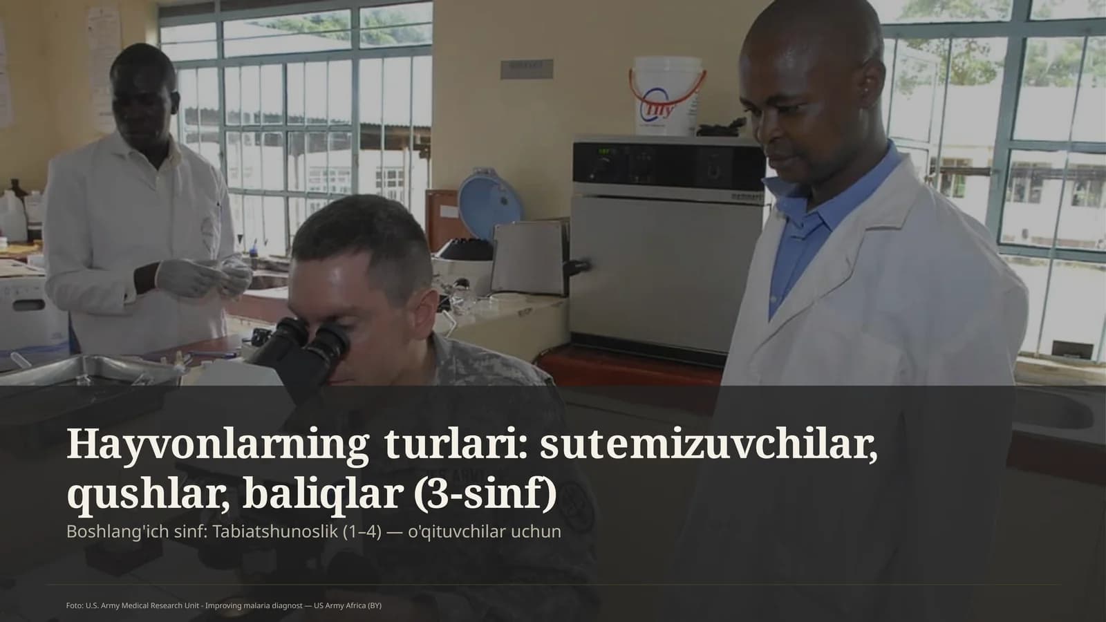 Tabiatshunoslik Dars Rejasi