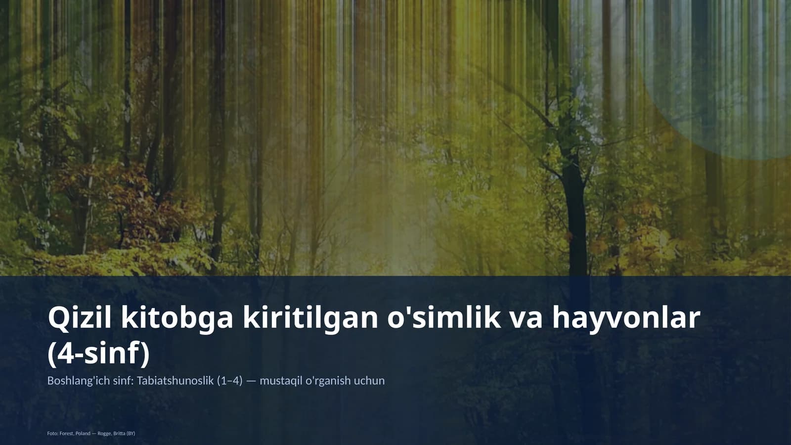 Qizil kitobga kiritilgan o'simlik va hayvonlar (4-sinf)
