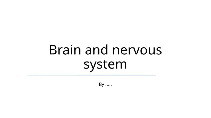 Brain and nervous system