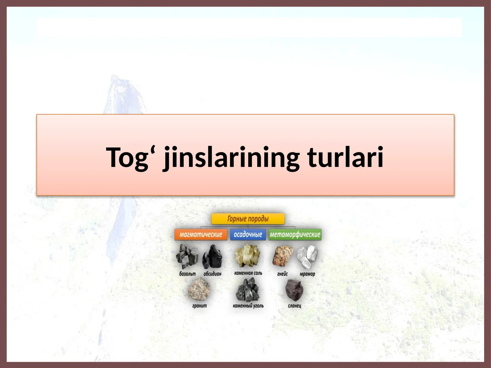 Tog‘jinslarining turlari