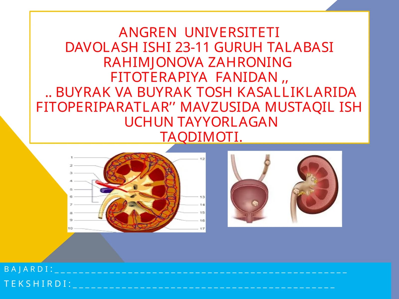 FITOTERAPIYA - BUYRAK VA BUYRAK TOSH KASALLIKLARI