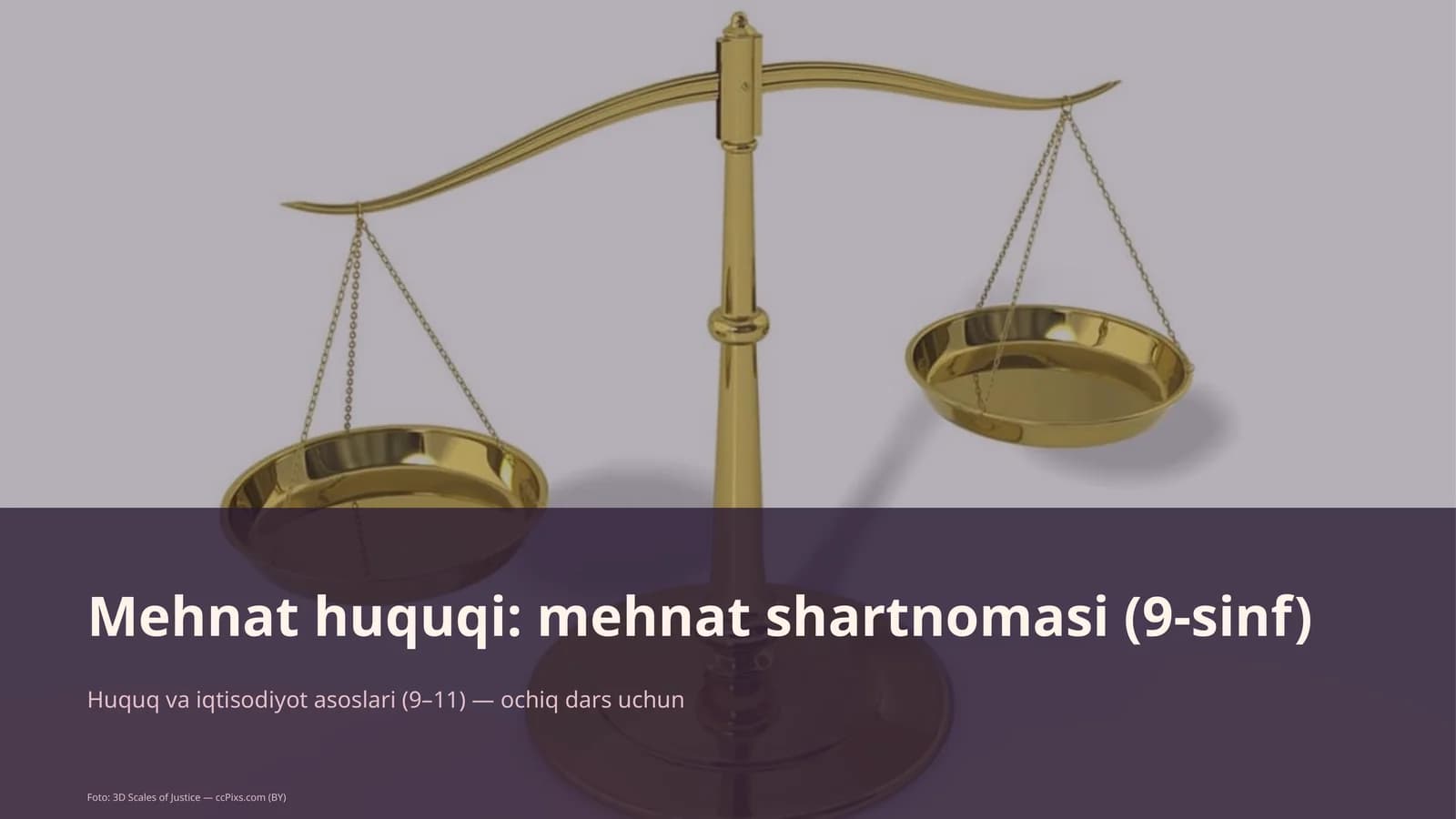 Mehnat huquqi: mehnat shartnomasi (9-sinf)