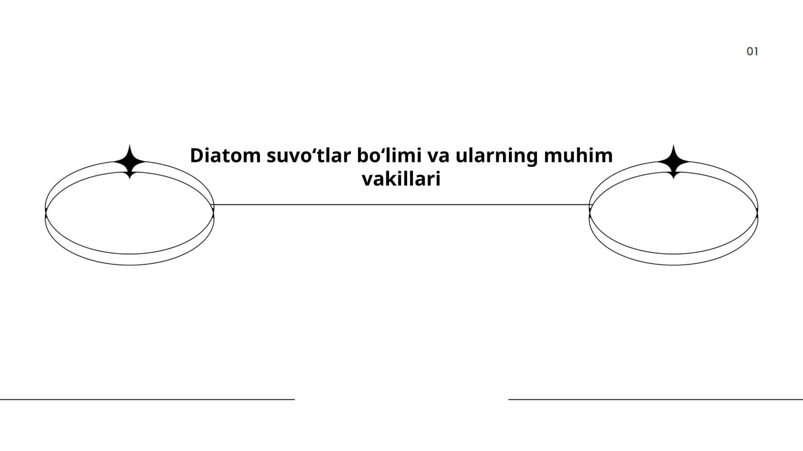 Diatom suvoʻtlar boʻlimi va ularning muhim vakillari