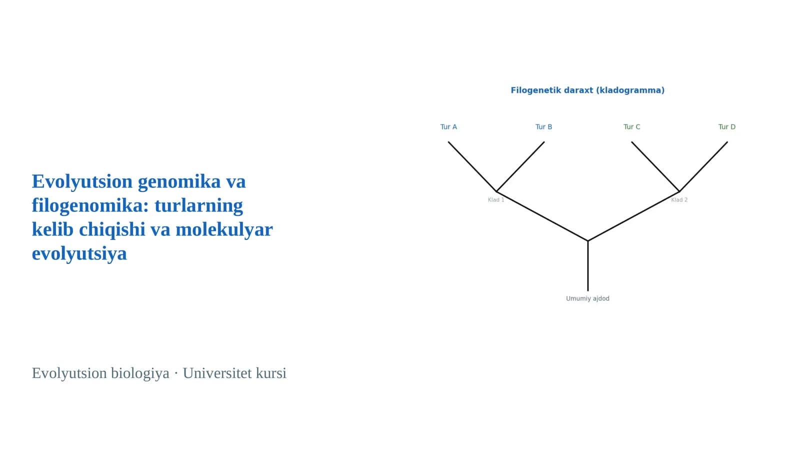 Evolyutsion genomika va filogenomika: turlarning kelib chiqishi va molekulyar evolyutsiya