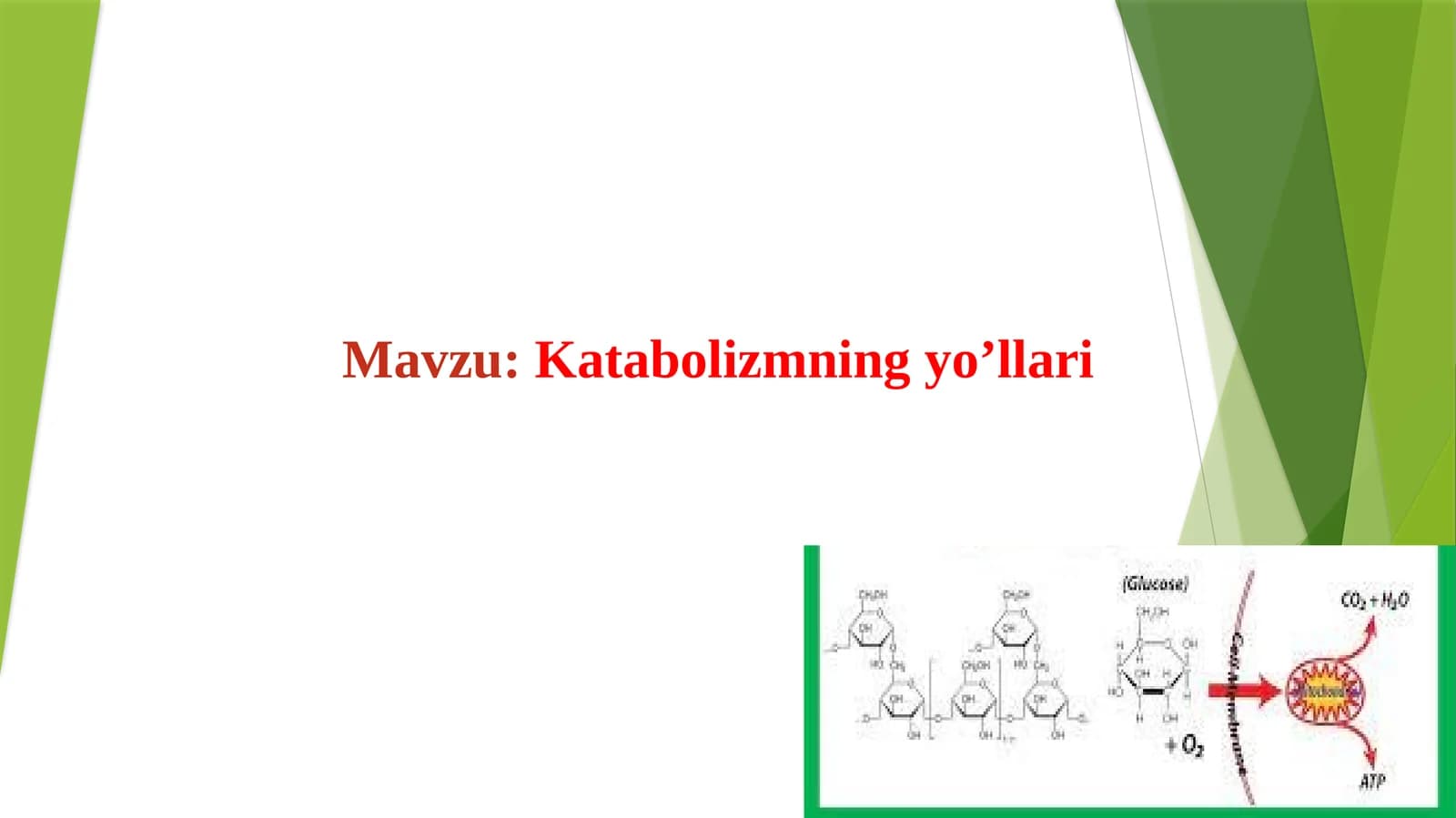Katabolizmning yo’llari