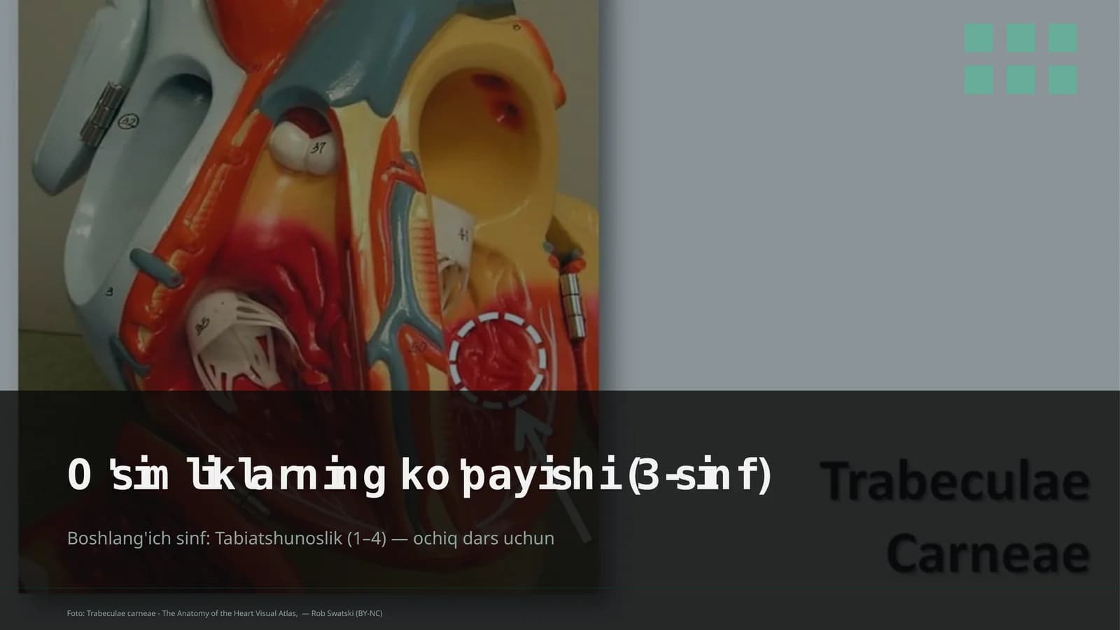 O'simliklarning ko'payishi (3-sinf)