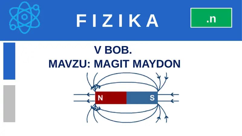 MAGNIT MAYDON