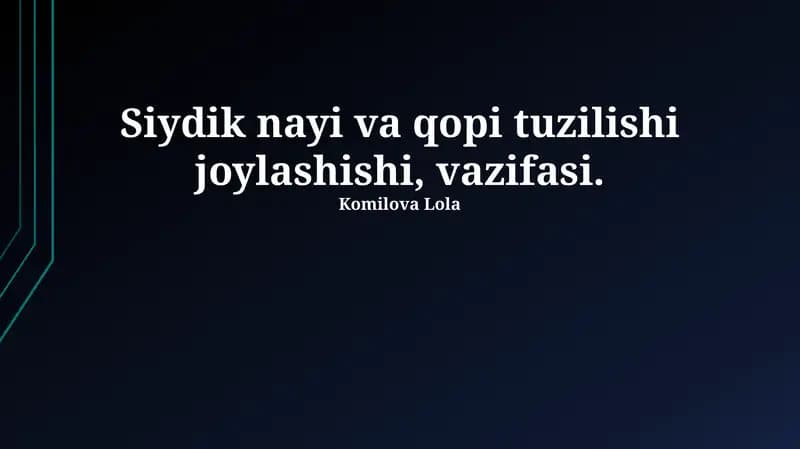 Siydik yo'lining qon ta'minoti va nervlar