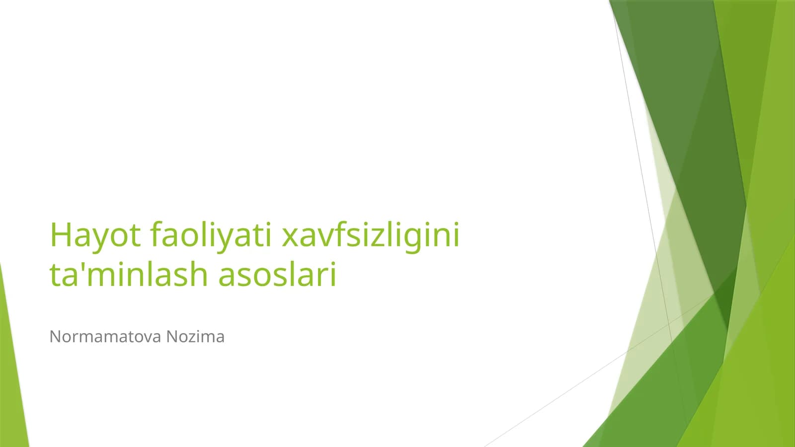 Hayot faoliyati xavfsizligini ta'minlash asoslari