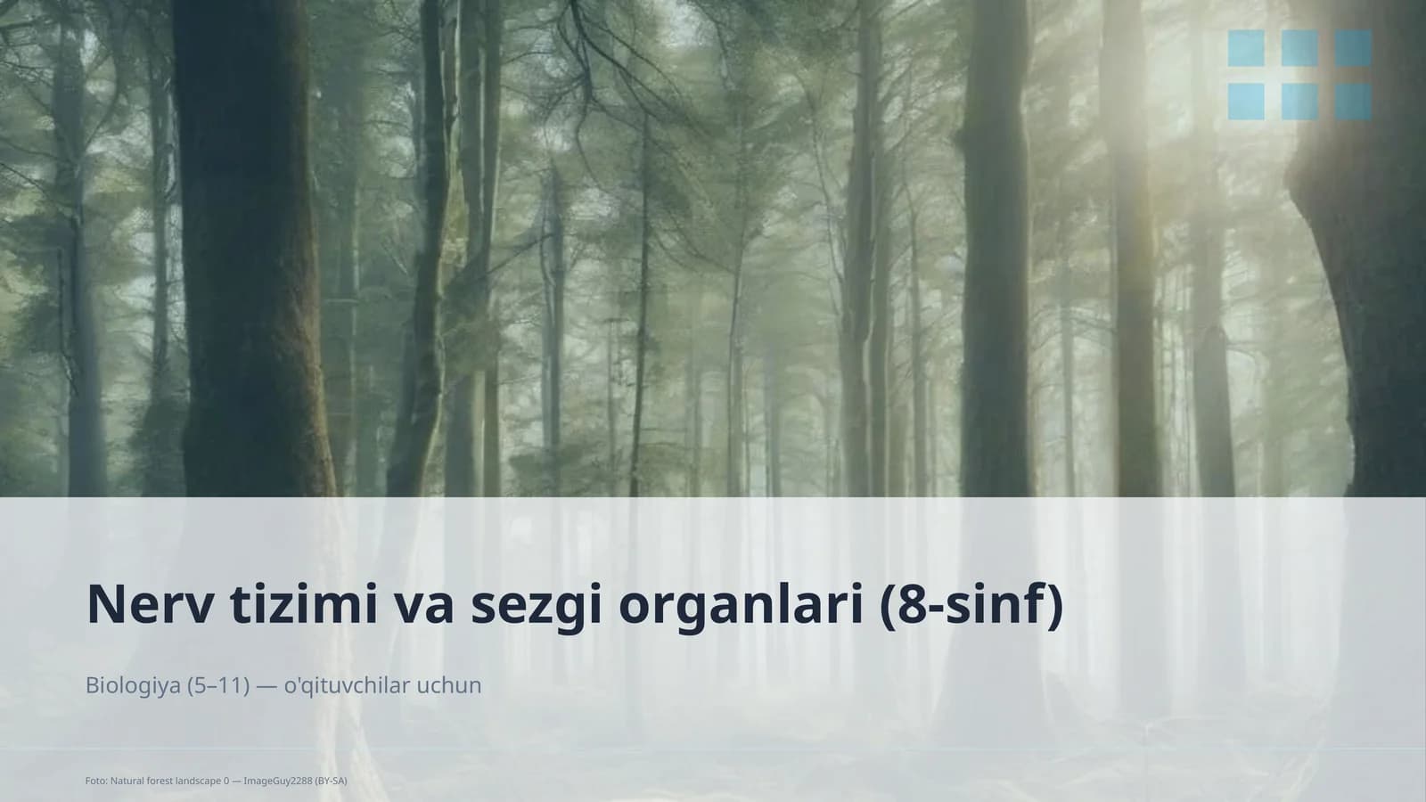 Nerv tizimi va sezgi organlari (8-sinf)