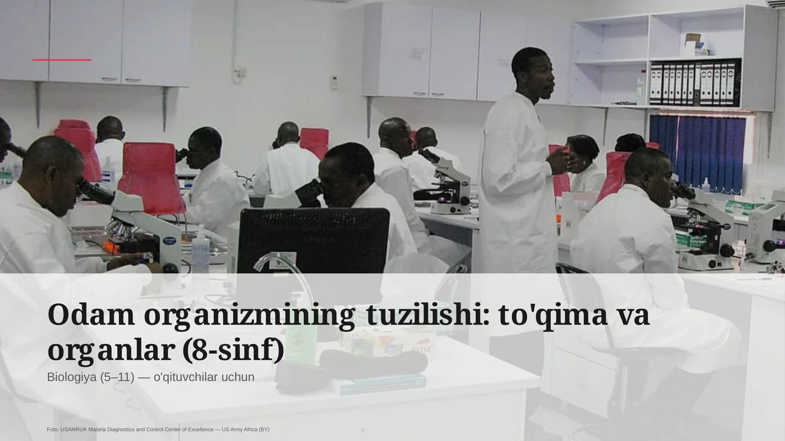 Odam organizmining tuzilishi: to'qima va organlar (8-sinf)