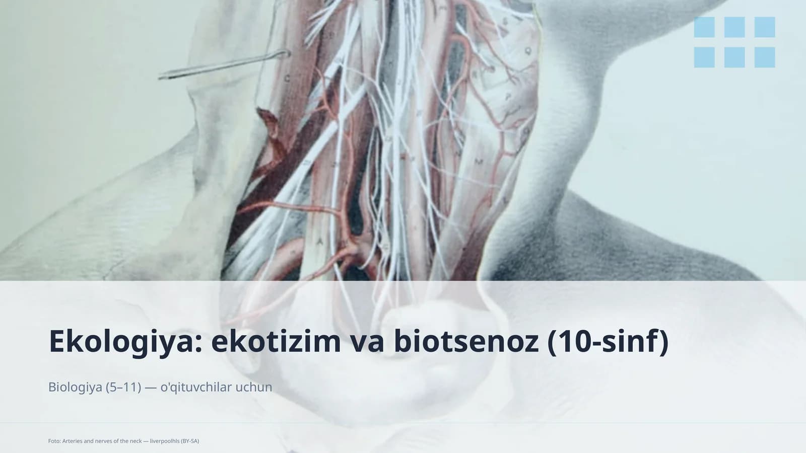 Ekologiya: ekotizim va biotsenoz (10-sinf)
