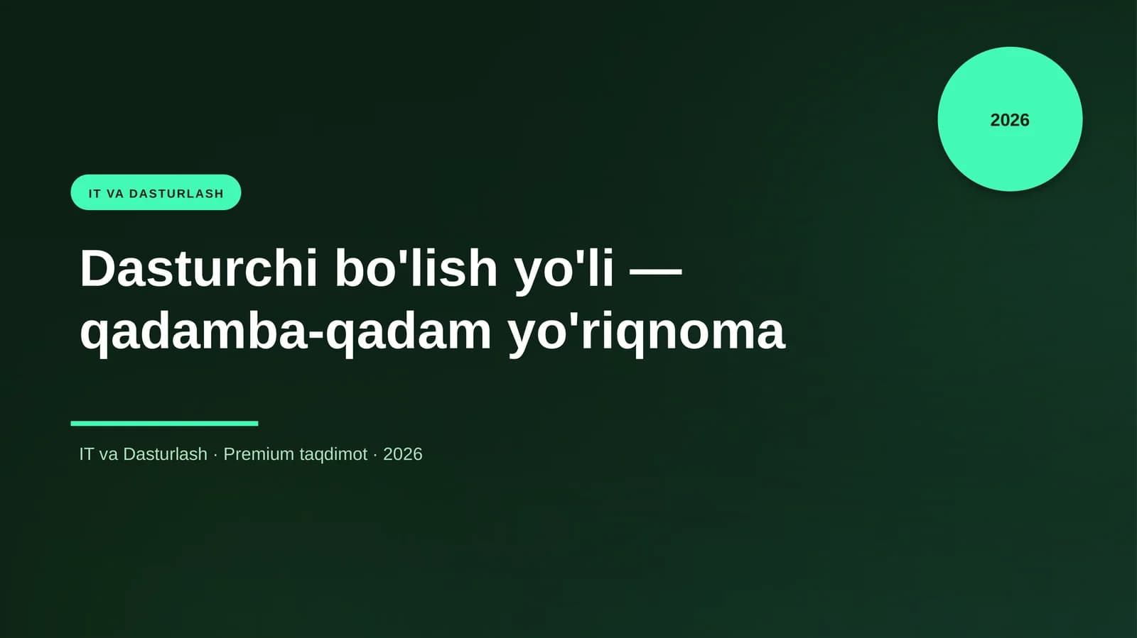 Dasturchi bo'lish yo'li — qadamba-qadam yo'riqnoma