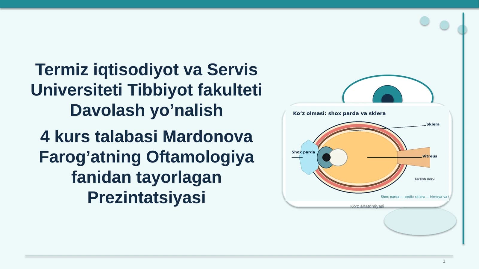 Ko‘z anatomiyasi