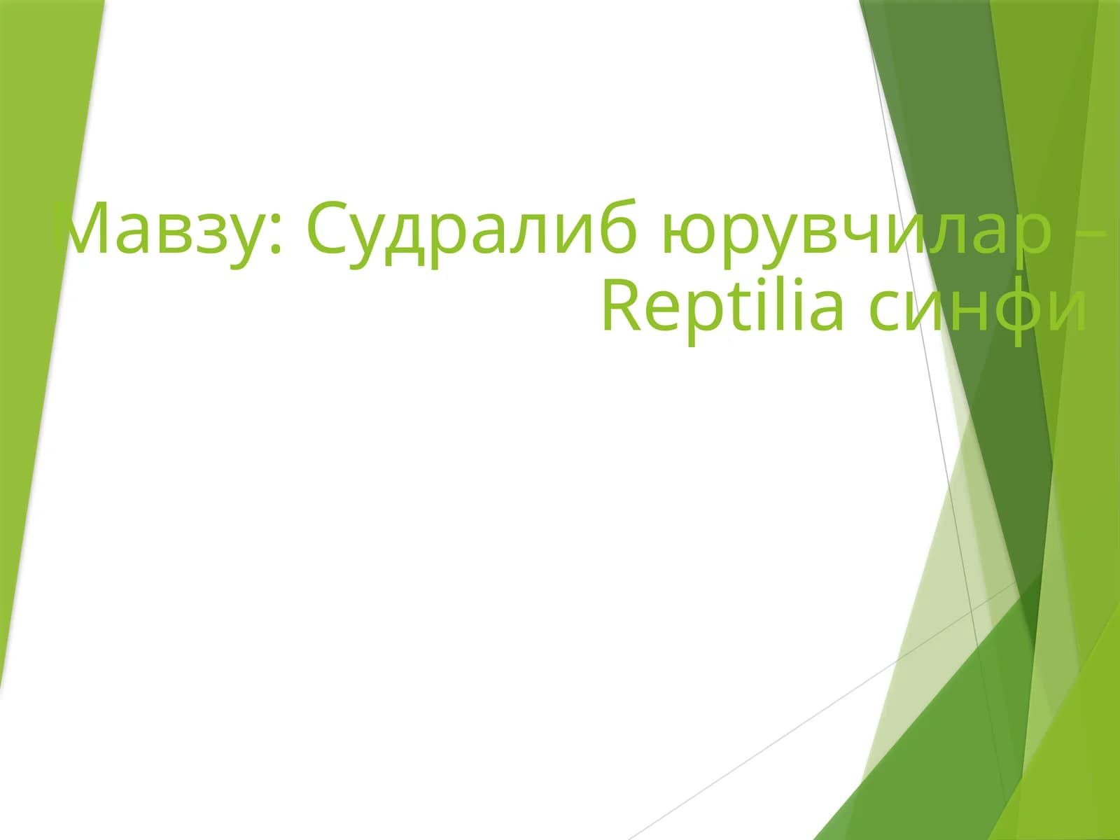Судралиб юрувчилар – Reptilia синфи