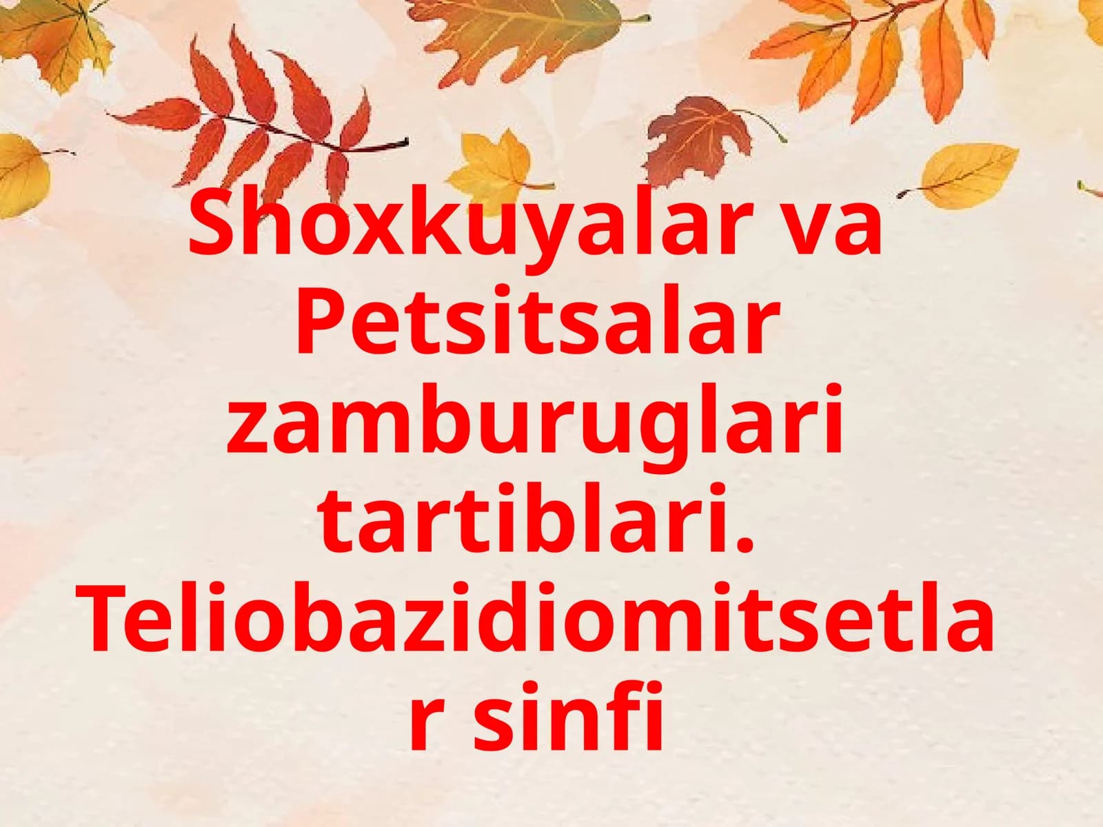Zamburugʻlar va Petsitsalar