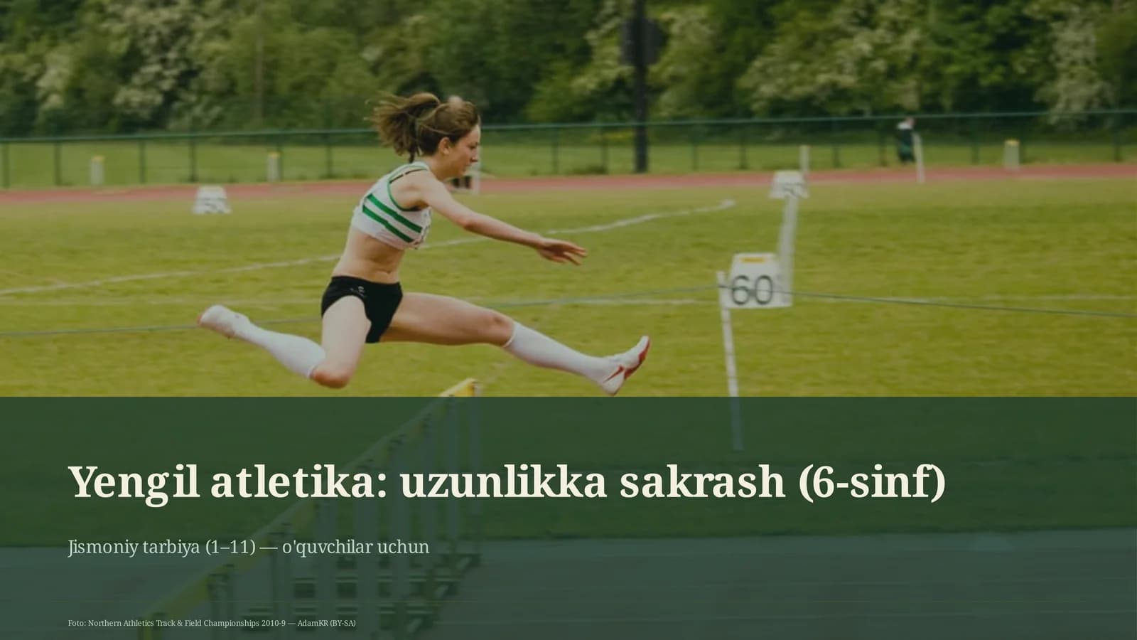 Jismoniy tarbiya (1-11)