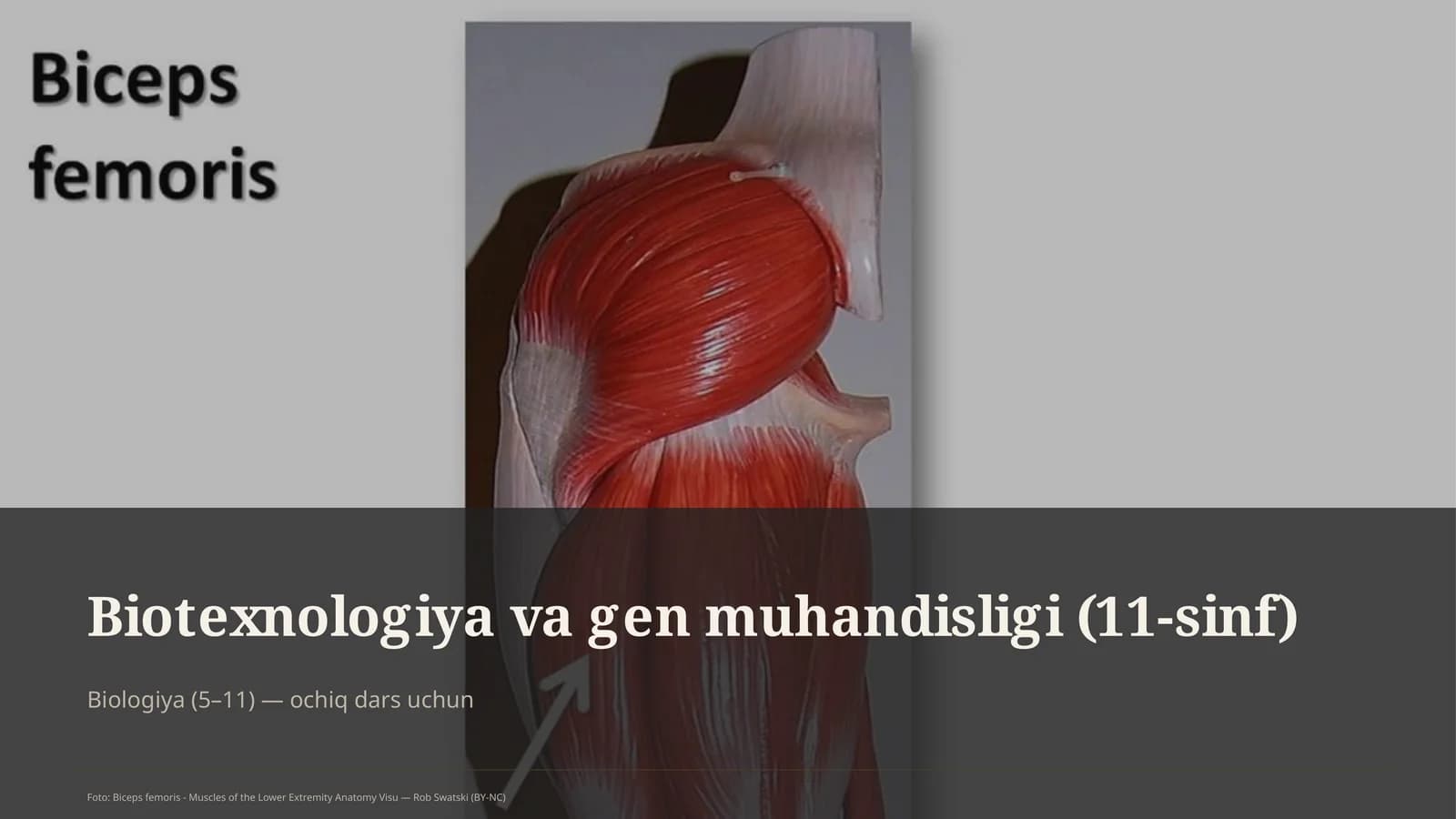 Biotexnologiya va gen muhandisligi (11-sinf)