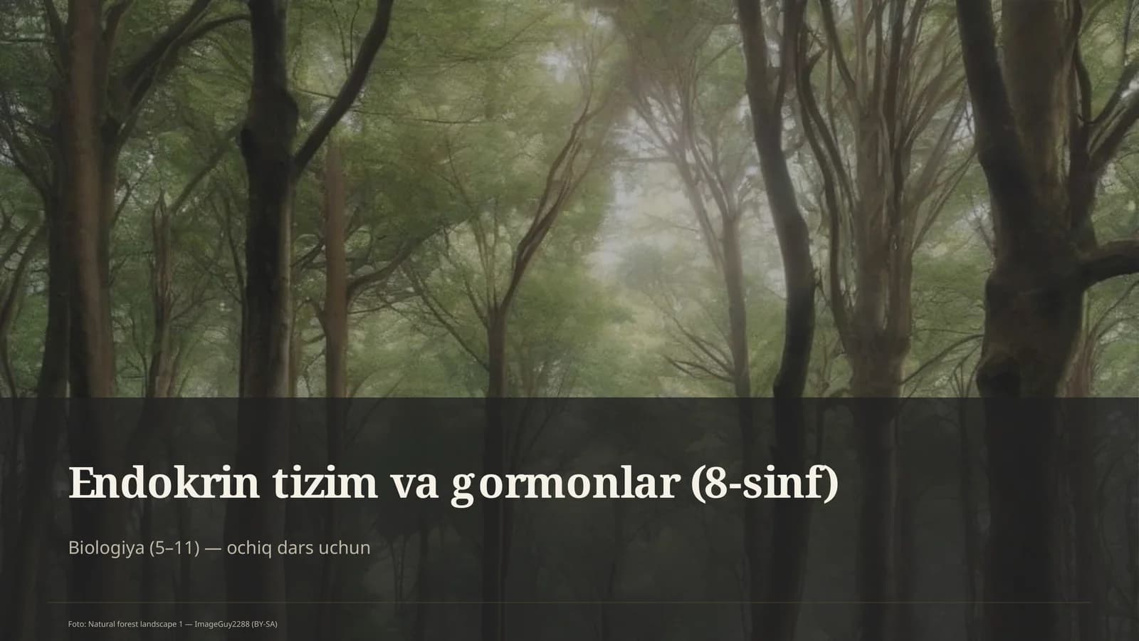 Endokrin tizim va gormonlar (8-sinf)