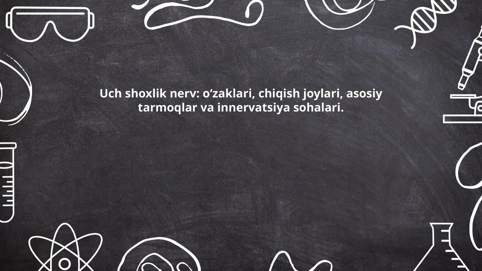 Uch shoxlik nerv: o‘zaklari, chiqish joylari, asosiy tarmoqlar va innervatsiya sohalari