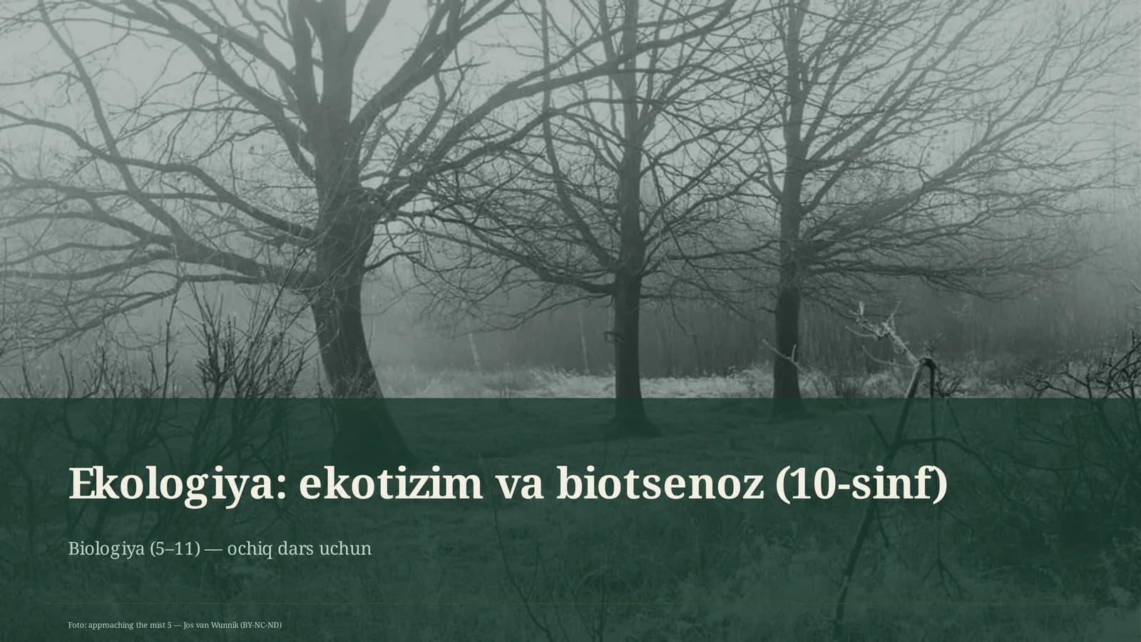 Ekologiya: ekotizim va biotsenoz (10-sinf)