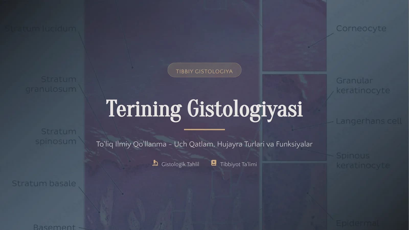 Tibbiy Gistologiya
