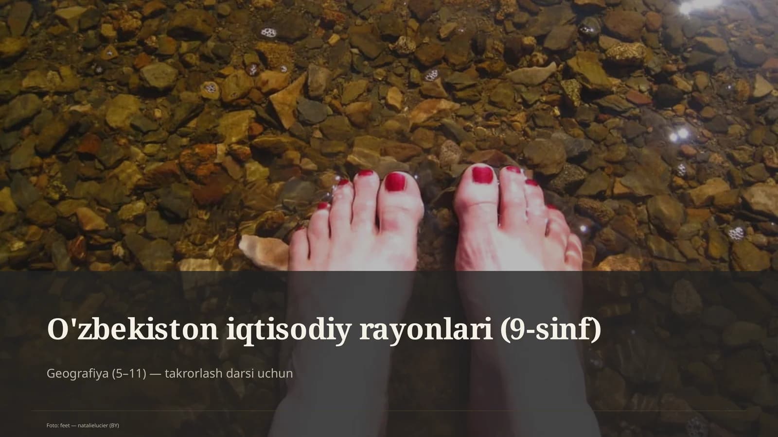 O'zbekiston iqtisodiy rayonlari (9-sinf)