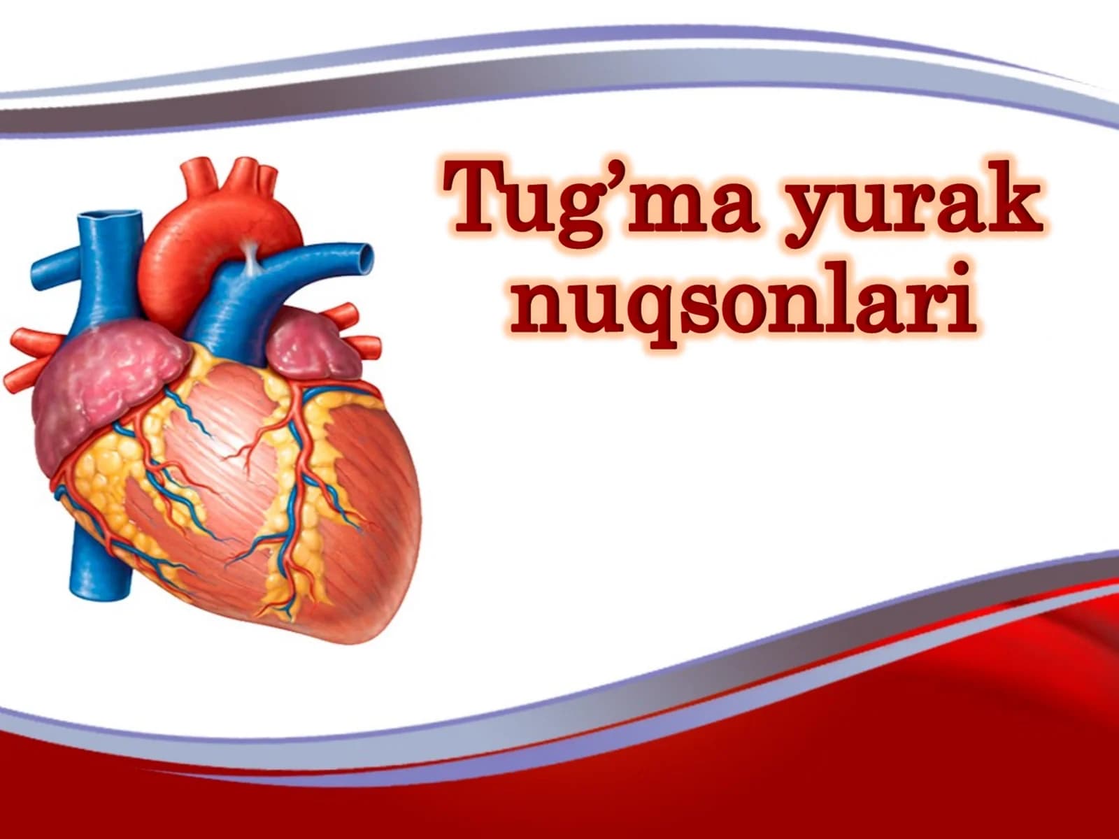 Yurak nuqsonlari