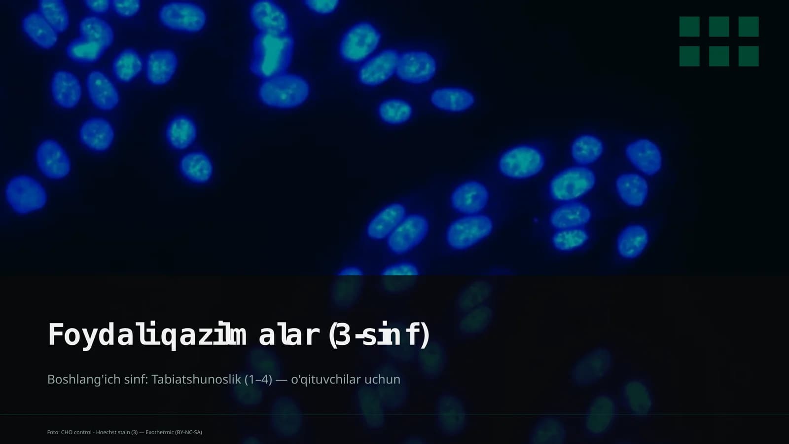 Foydali qazilmalar (3-sinf)