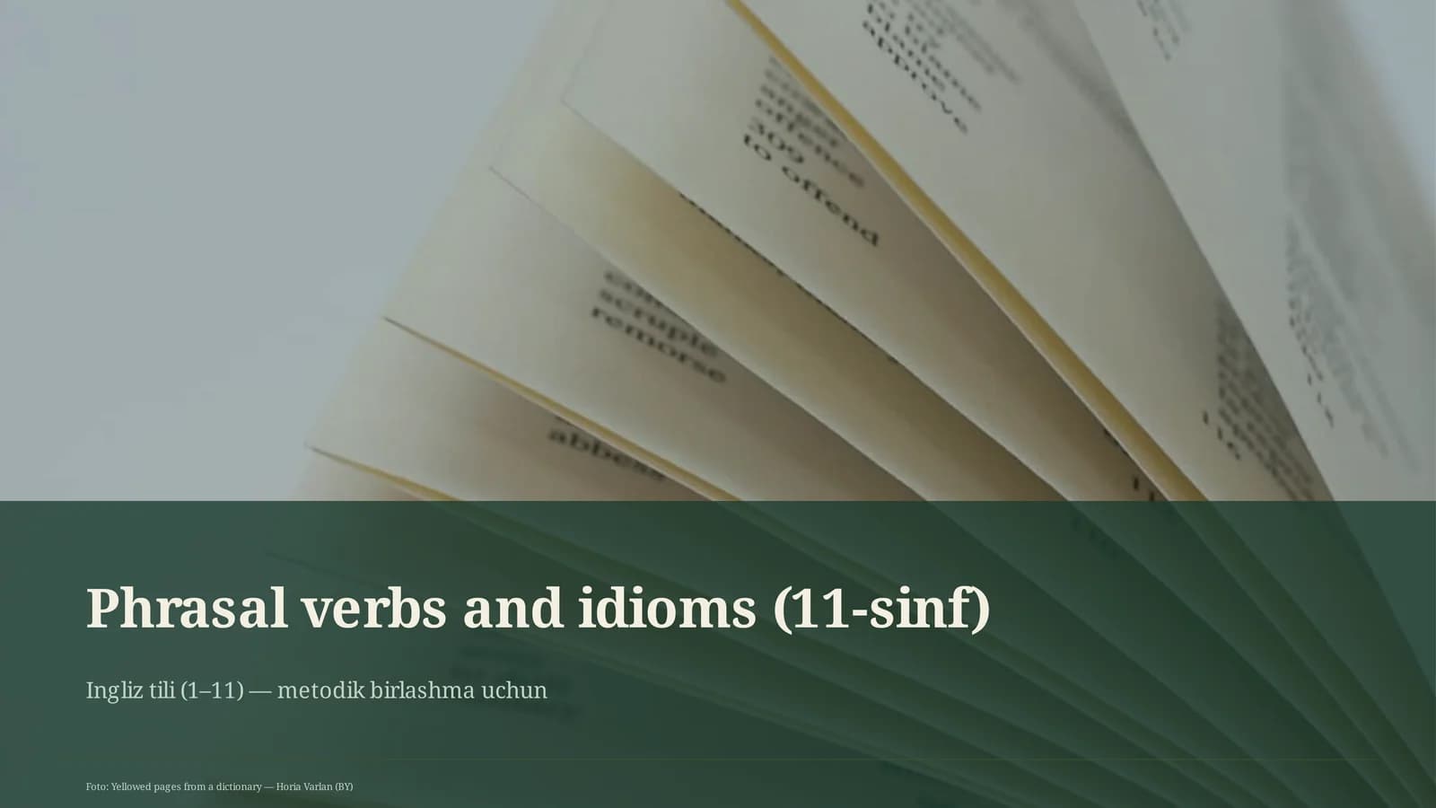 Phrasal verbs and idioms (11-sinf)