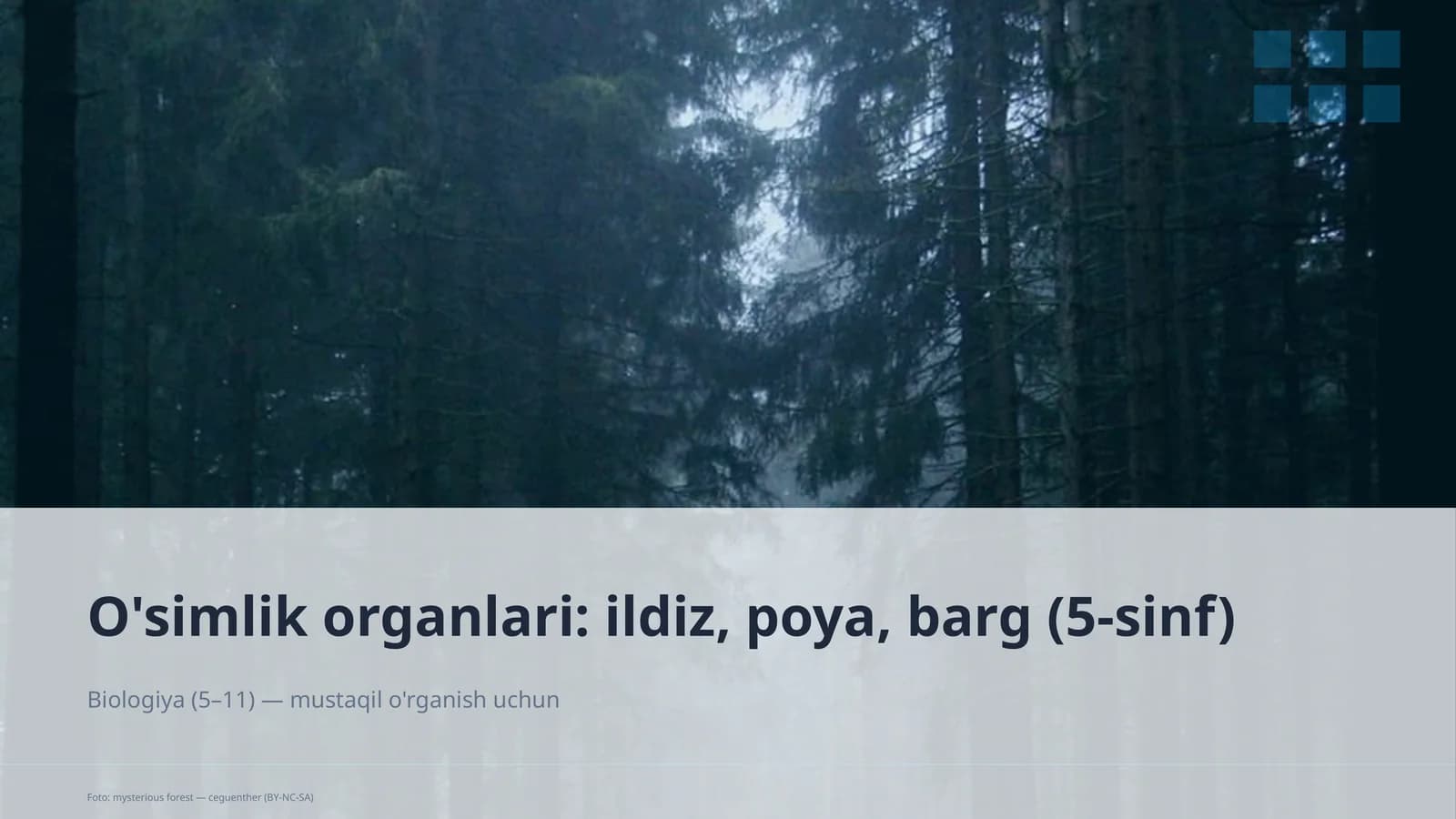 O'simlik organlari: ildiz, poya, barg