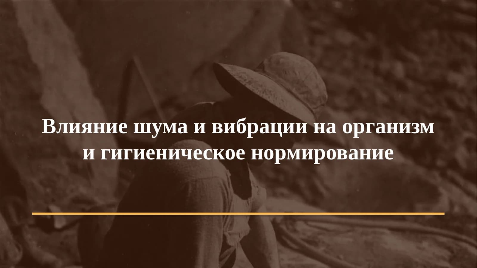Гигиена. Медицинская экология · Практическое занятие № 23