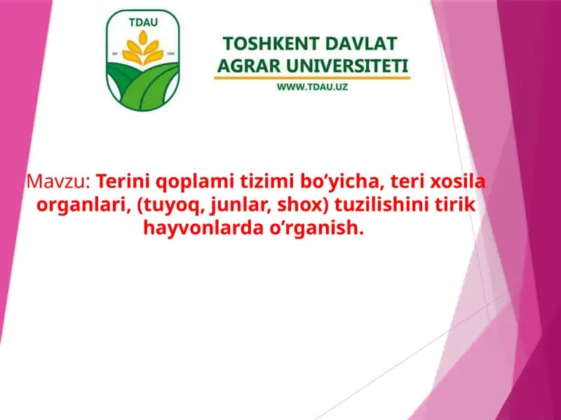 Terixosila organlari tuzilishi