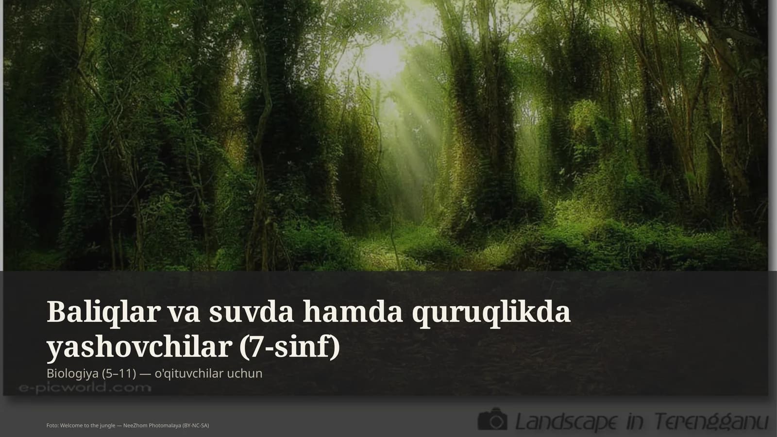 Baliqlar va suvda hamda quruqlikda yashovchilar (7-sinf)