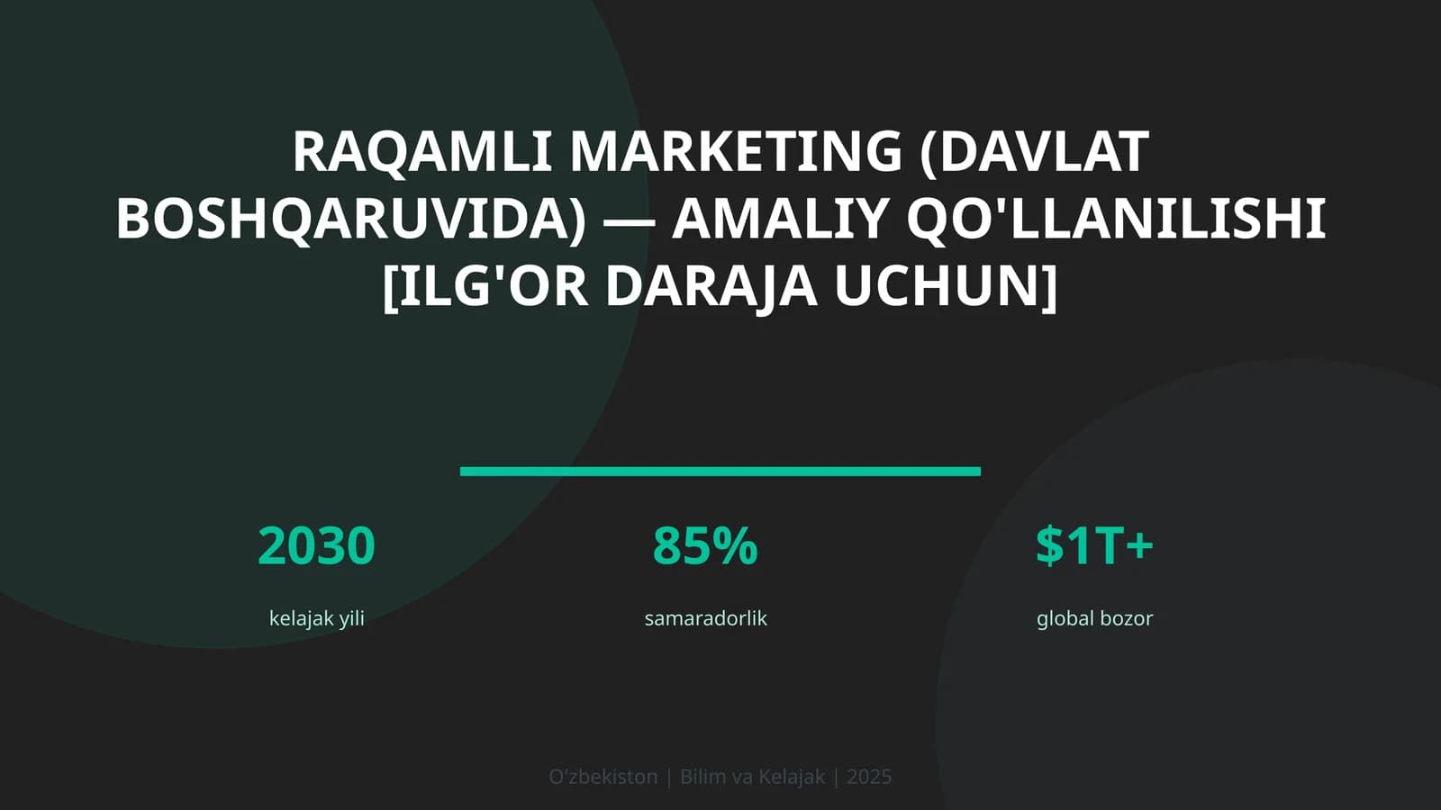 Raqamli marketing (davlat boshqaruvida) — amaliy qo'llanilishi [ilg'or daraja uchun]