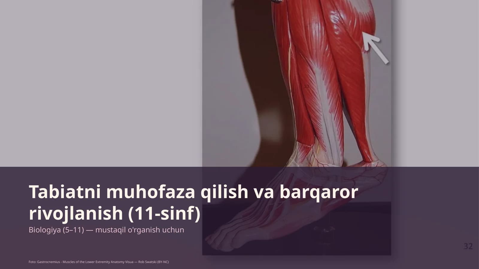 Tabiatni muhofaza qilish va barqaror rivojlanish (11-sinf)