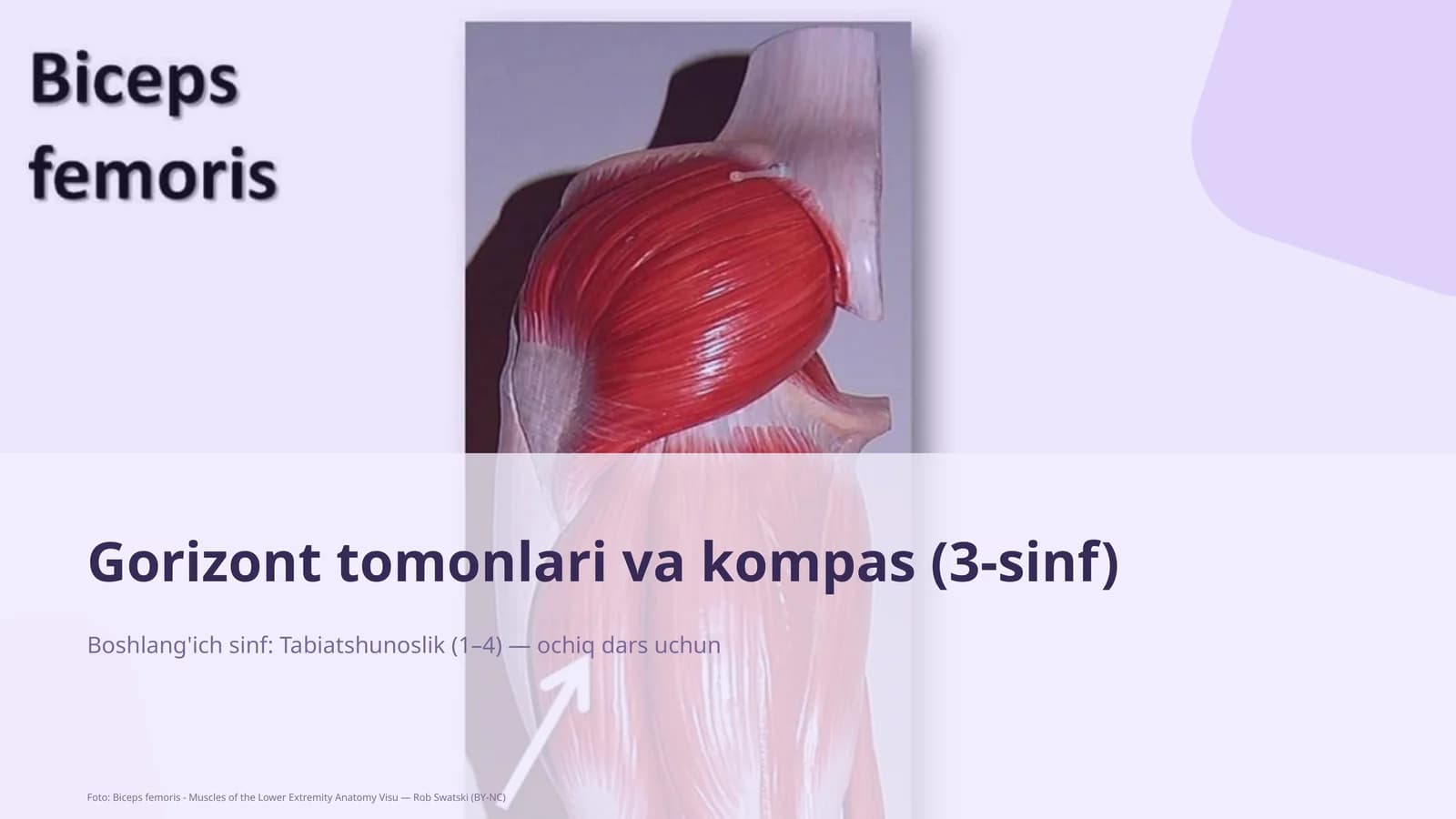 Gorizont tomonlari va kompas (3-sinf)