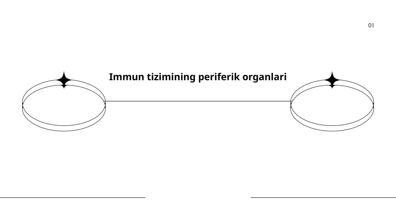 Immun tizimining periferik organlari