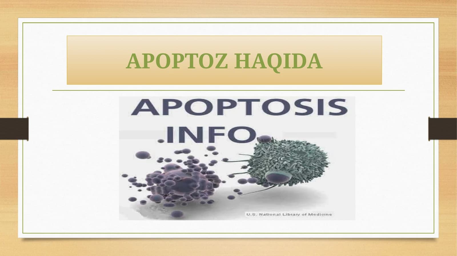 Apoptoz haqida