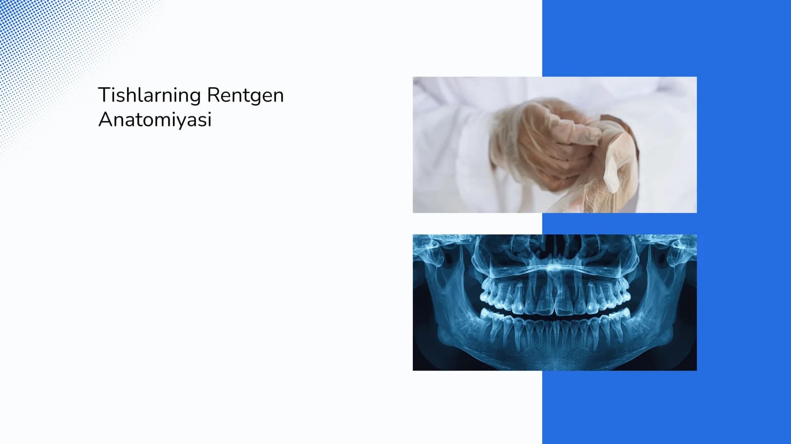 Tishlarning rentgen anatomiyasi