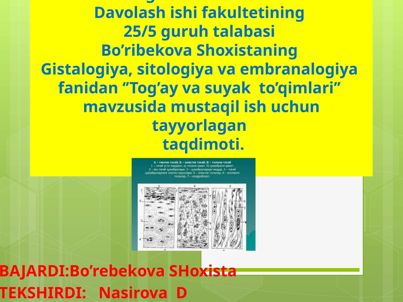Tog’ay va suyakto’qimlari