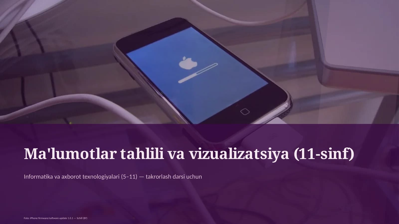 Ma'lumotlar tahlili va vizualizatsiya (11-sinf)