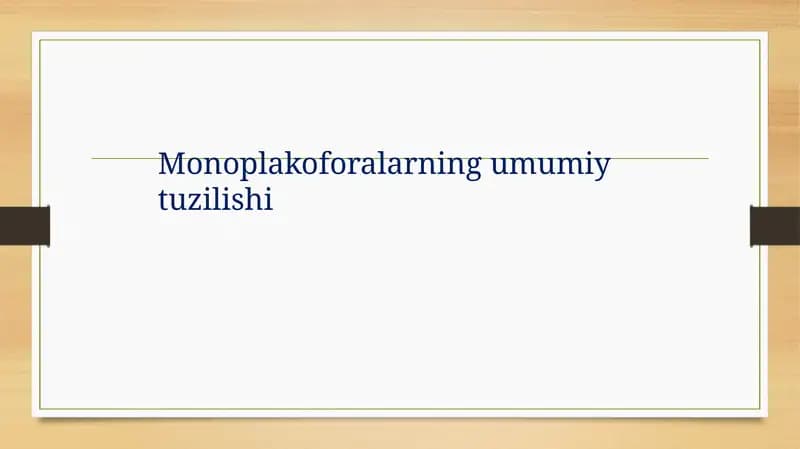 Monoplakoforalarning umumiy tuzilishi