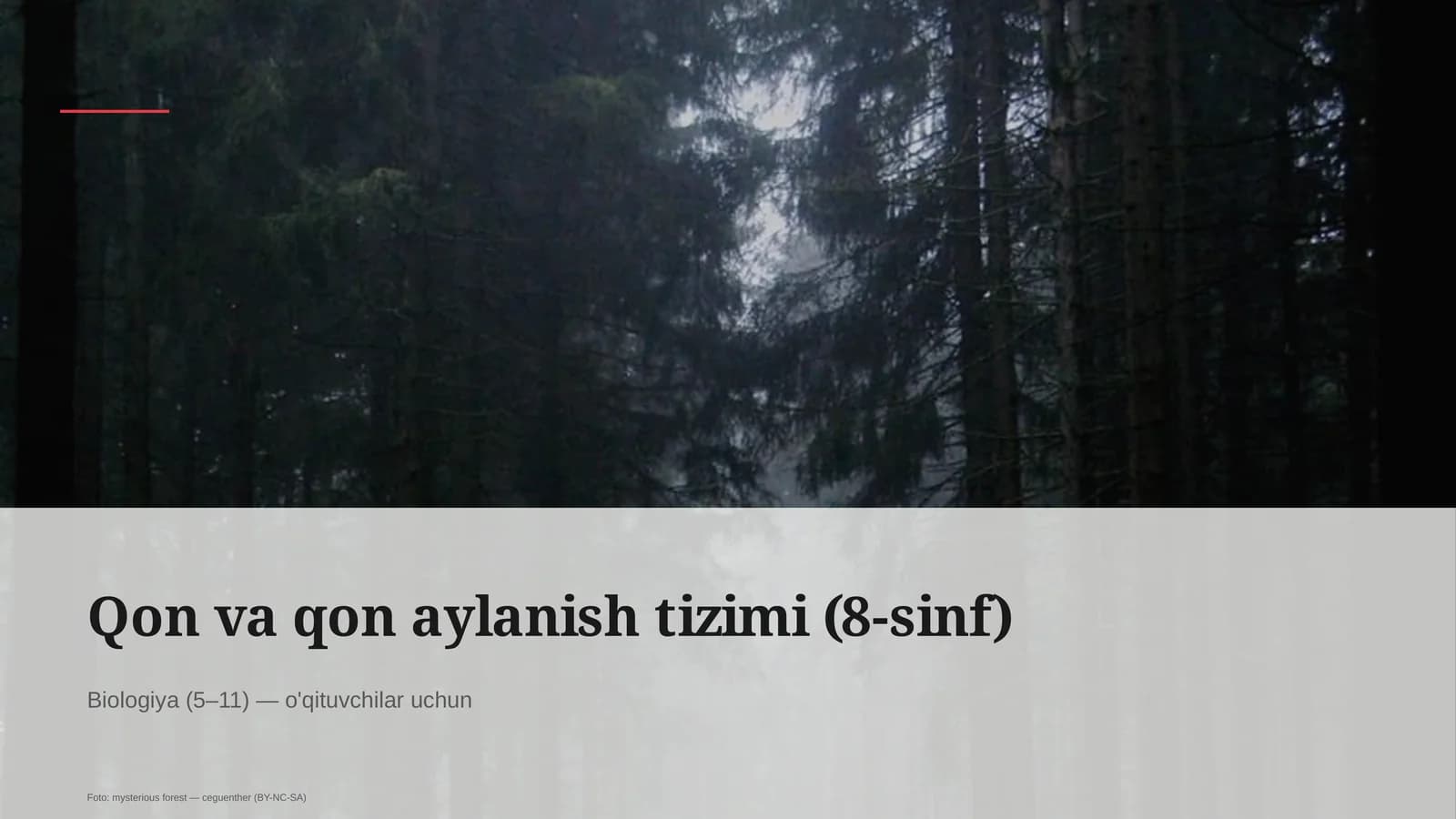 Qon va qon aylanish tizimi (8-sinf)