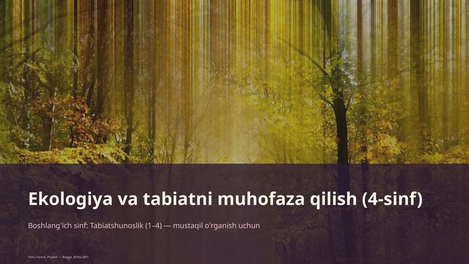 Ekologiya va tabiatni muhofaza qilish (4-sinf)