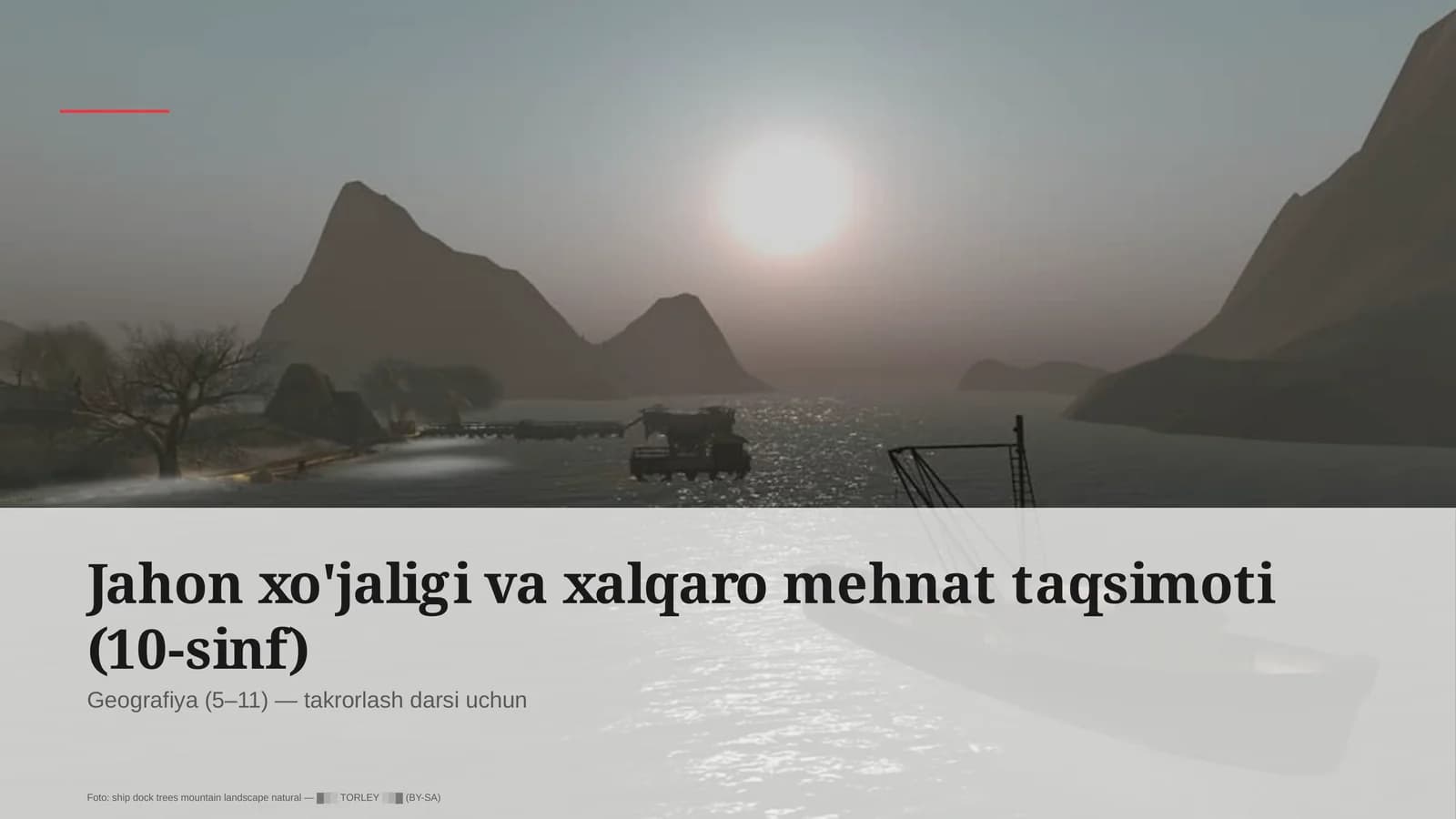 Jahon xo'jaligi va xalqaro mehnat taqsimoti (10-sinf)