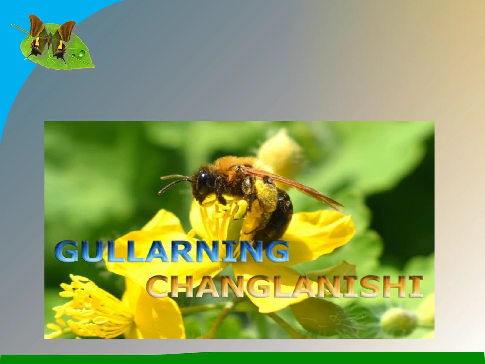 Gullarningchanglanishi
